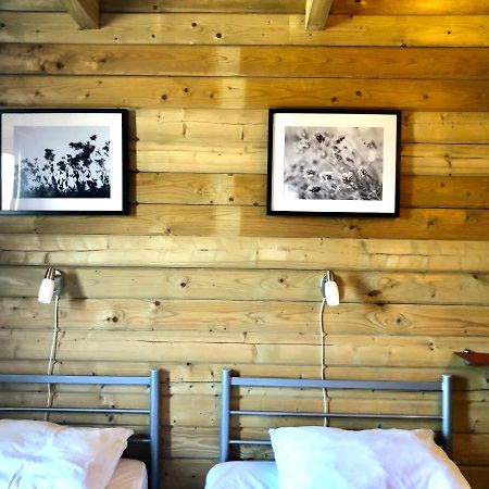 6 Persoons Vakantiehuis Met Sauna, Dichtbij Zee Sint Annaland Exterior foto